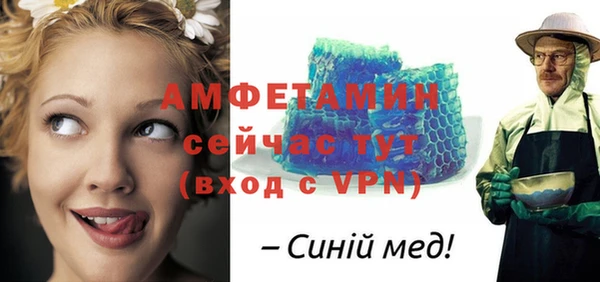 ПСИЛОЦИБИНОВЫЕ ГРИБЫ Бородино