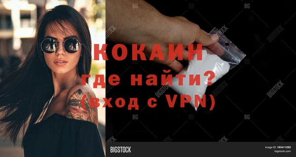 ПСИЛОЦИБИНОВЫЕ ГРИБЫ Бородино