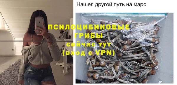 прущие грибы Верхнеуральск