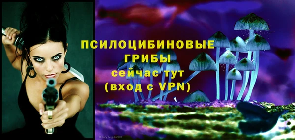 мяу мяу мука Бугульма