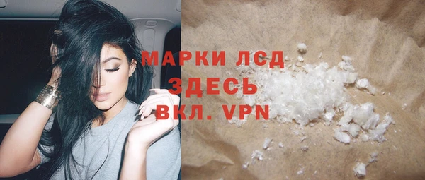 ПСИЛОЦИБИНОВЫЕ ГРИБЫ Бородино